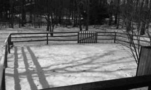 Side yard fenced in and connected to the porch for a pet friendly stay.