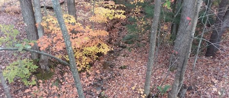 View from Master Bedroom Deck