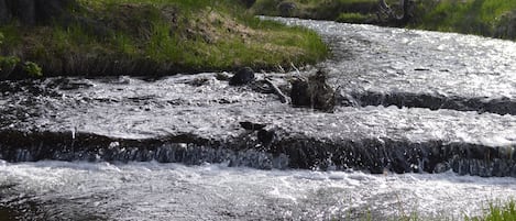 This beautiful creek is out our back door!