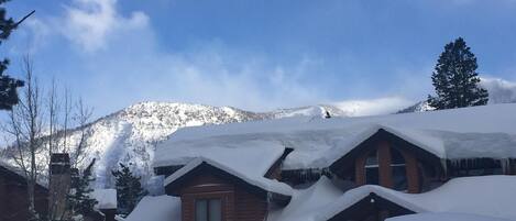 So much Snow! And easy path to front door  on ground level- no icy stairs!