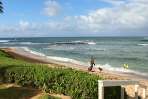 A beautiful morning on the beach.