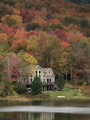 Fall Leaves