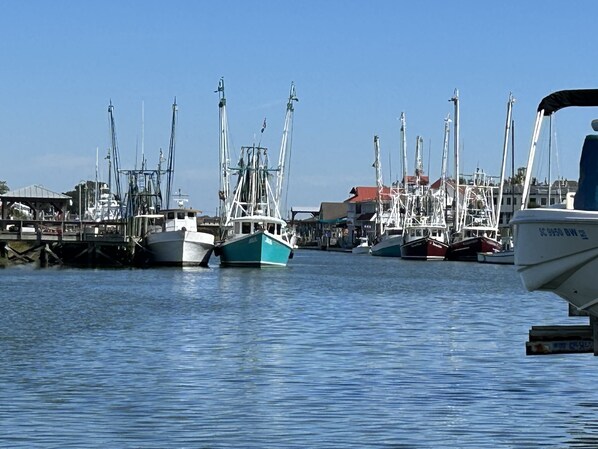 Marina