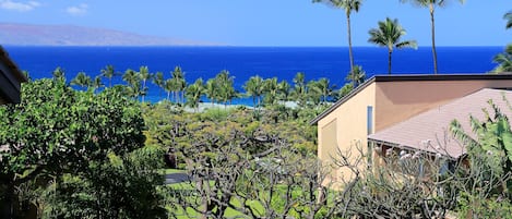 View from upstairs master bedroom lanai