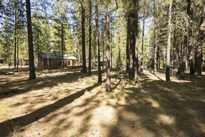 Large wooded lot