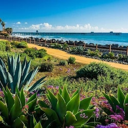 Start each morning by grabbing a coffee at Bear Coast coffee (at the pier) and walking the beach trail. No better place to enjoy nature's simple pleasures than San Clemente. What are you waiting for? Book now :)