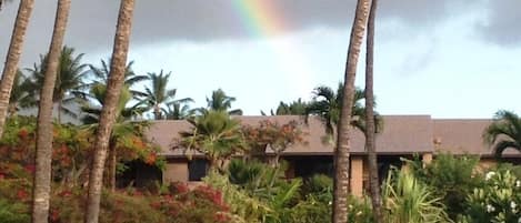 Quiet pool and rainbow over Building 1