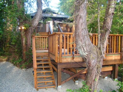 Forest View Cabin Private Hot tub located across from Cox Bay Beach