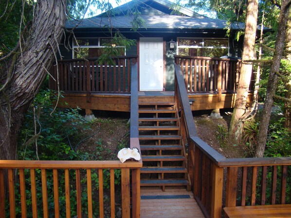 Forest View Cabin very private 2 bedroom cabin located across from Cox Bay beach 