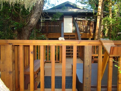Forest View Cabin Private Hot tub located across from Cox Bay Beach