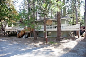 The Tree House II