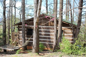 Our hammock is a favorite resting spot behind the cabin!