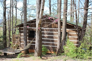 Our hammock is a favorite resting spot behind the cabin!