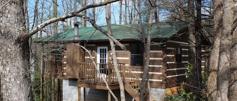 Treehouse cabin is literally nestled in the trees! Cozy and secluded.