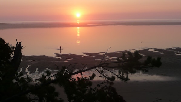 Not telephoto!  View from deck, showing  crabbing at low tide.  