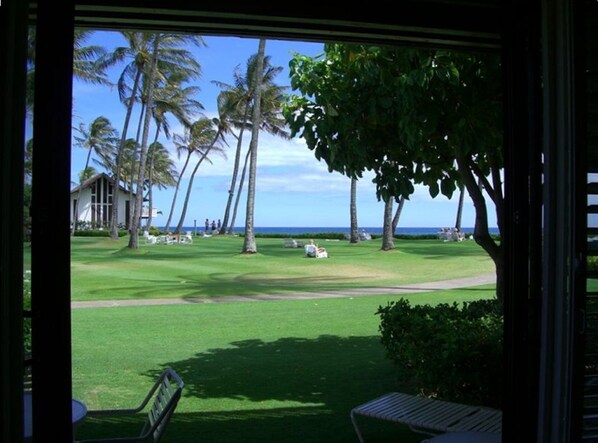 View from lanai