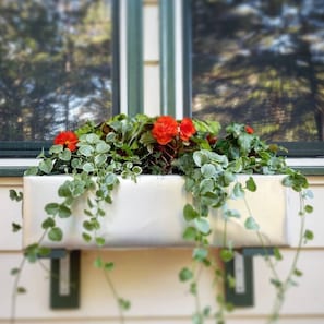 We love our custom designed window boxes