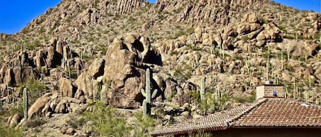 The ever changing colors of the canyon walls at sunset are spectacular