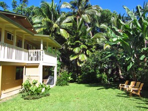 Spacious Back Yard