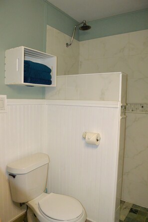 Rainfall shower head in primary bathroom shower.