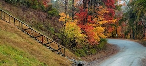 Fall is here! Steps from back yard to lake/ beach and river