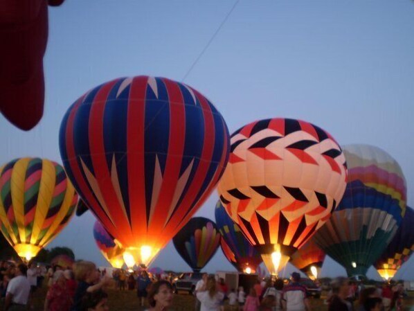Balloon Fest fills the sky .