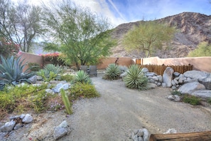 Desert landscaping
