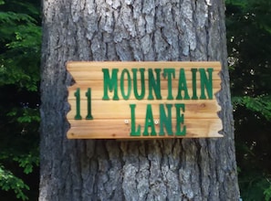 11 Mountain Lane, Chestertown, NY 12817