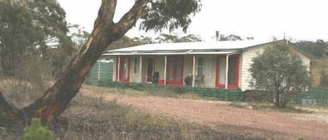 Christmas Tree Cottage