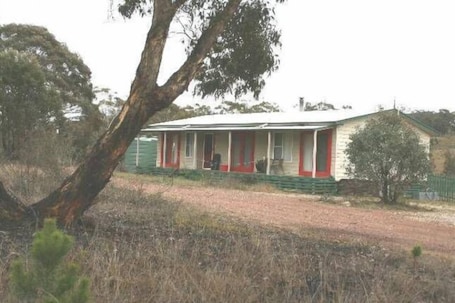 Christmas Tree Cottage