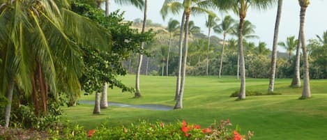 Golf Course view from off the Lanai