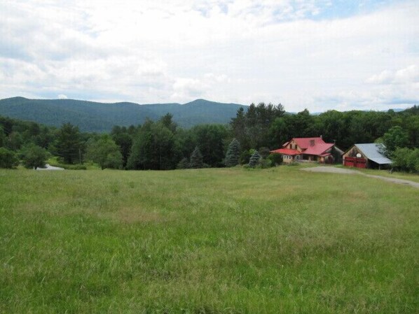 View of the house, garage, and pond with Green  Mountains beyond in summer