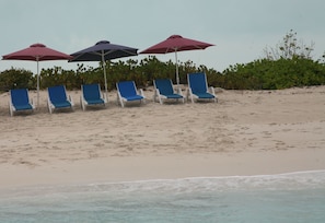 Loungers and umbrellas set up at the beach daily