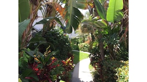 Beautiful garden paths