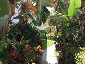 Beautiful garden paths
