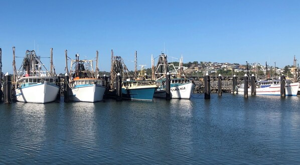Marina