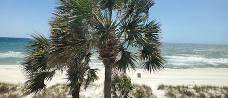 Step down the Deck and enjoy walk on beach