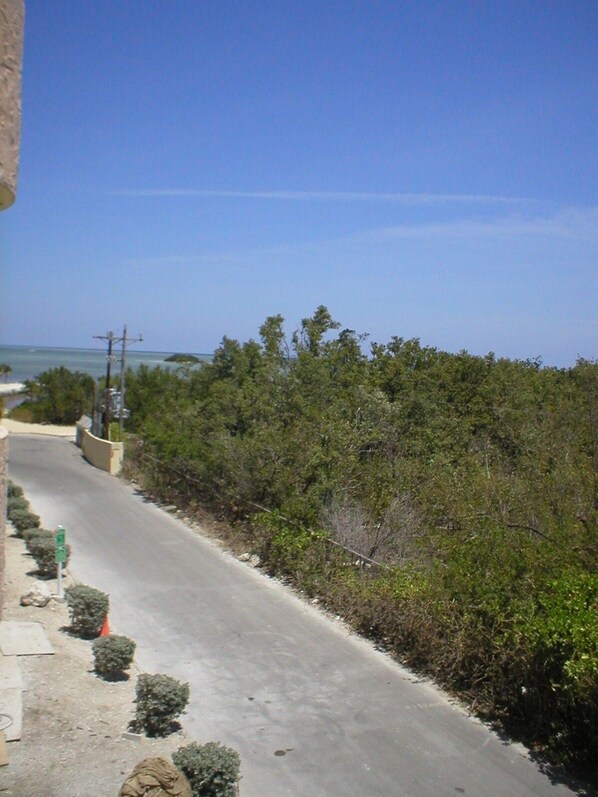 View from your Balcony