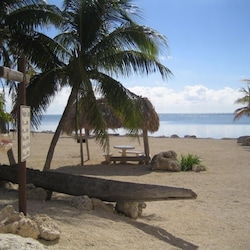 Many palm tree and huts to relax under
