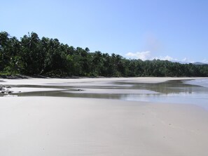 This Dream Beach is yours for the duration of your stay.