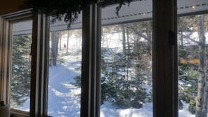 Kitchen window view to the ski trail access on left. See skier in red on trail!