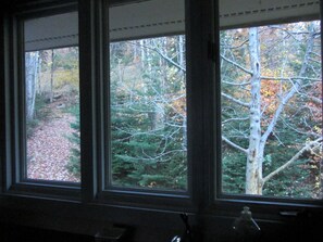 Autumn view out kitchen windows to the ski trail access on left