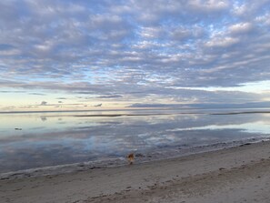 Beautiful glassy sunset from the beach in front of the house, great for dog walk