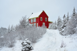 Winter at Tuckamore, Trinity East