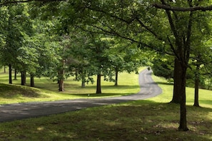 Long meandering driveway to estate is over 1/8 mile long...lots of privacy!
