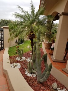 A sólo pasos de la playa, The Perfect Cabo Villa le espera.