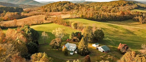 Walnut Run Farm