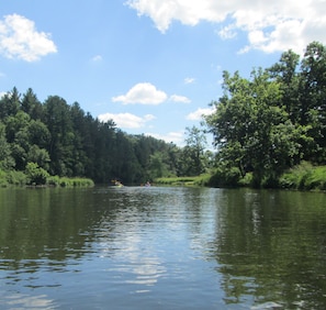 Järvi