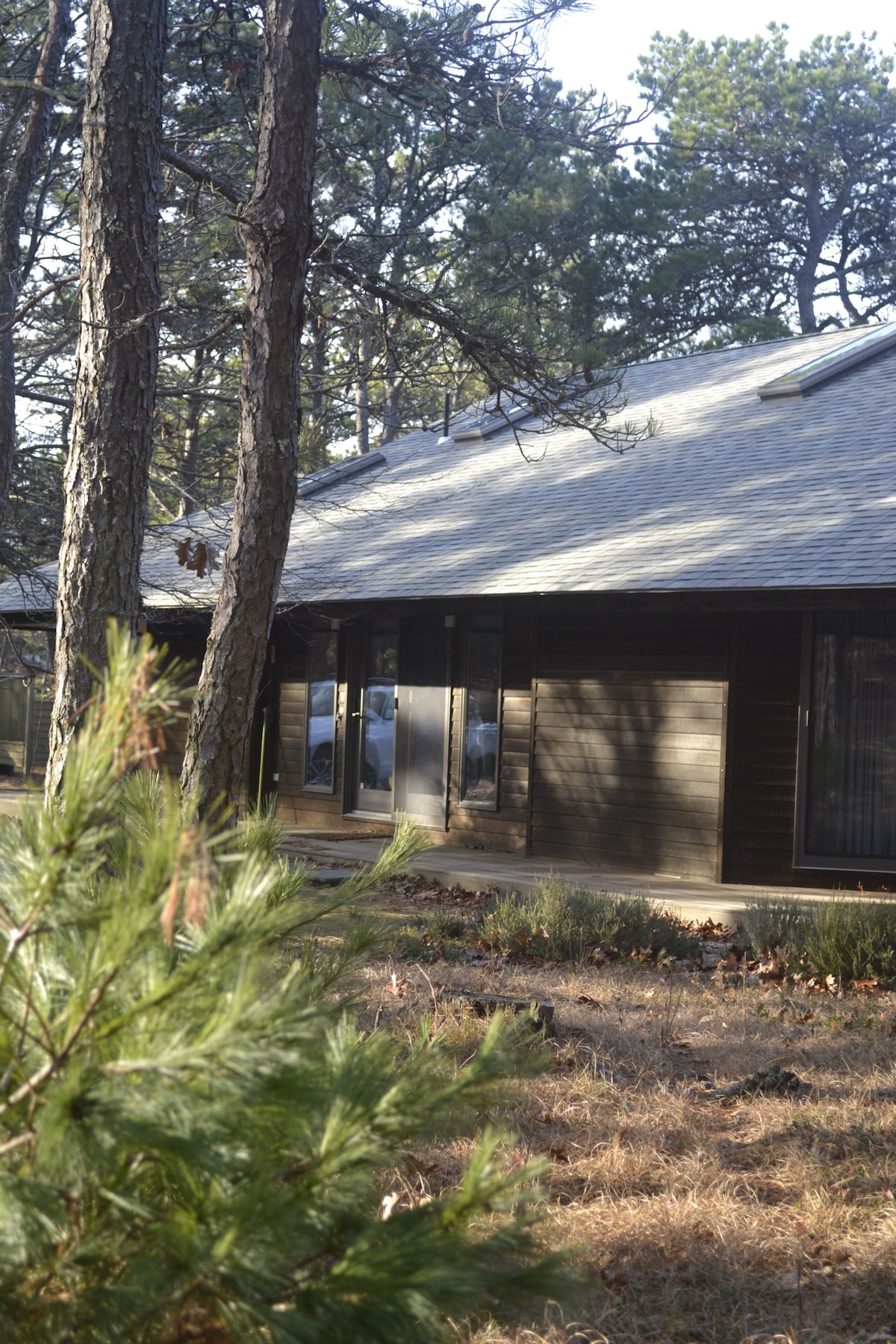 Spacious, Air Conditioned Modernist Gem: Ideal for multi-generational vacation.