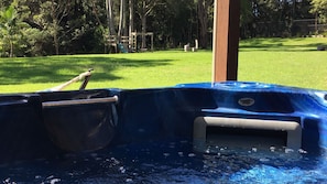 4 person spa overlooking nature